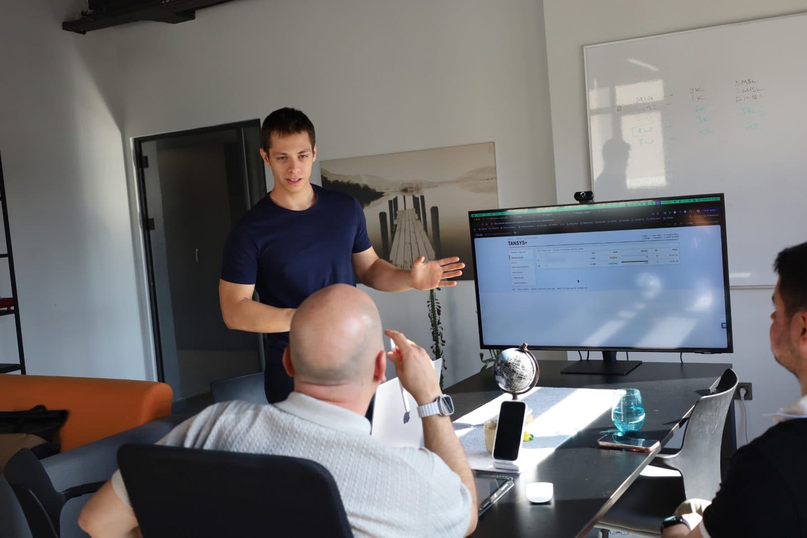 Our team walking the client team through TANSYS+ on a large screen